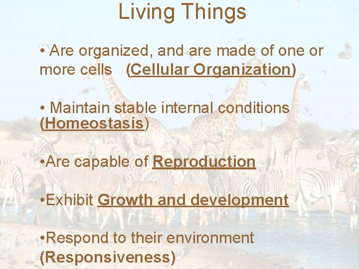 Living Things • Are organized, and are made of one or more cells (Cellular
