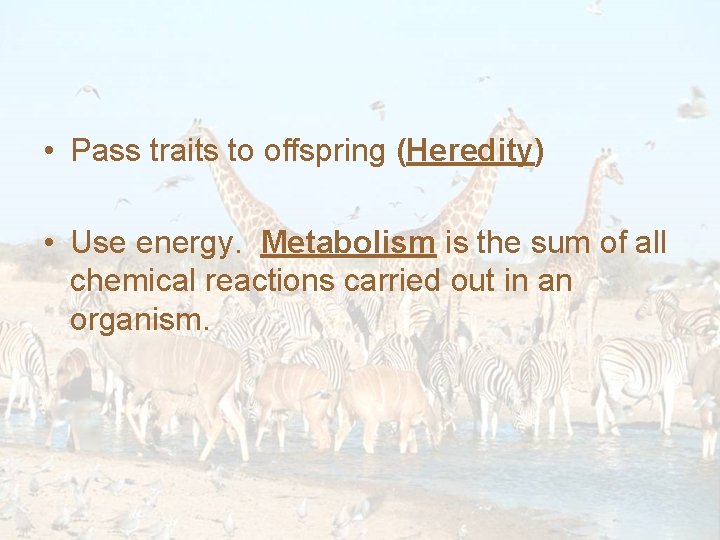  • Pass traits to offspring (Heredity) • Use energy. Metabolism is the sum