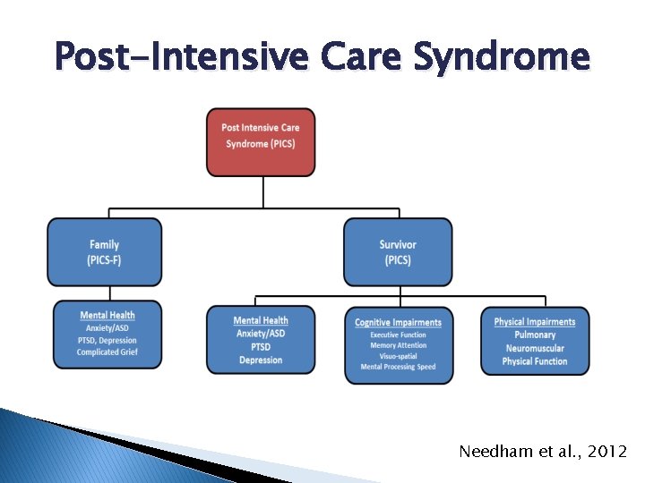 Post-Intensive Care Syndrome Needham et al. , 2012 