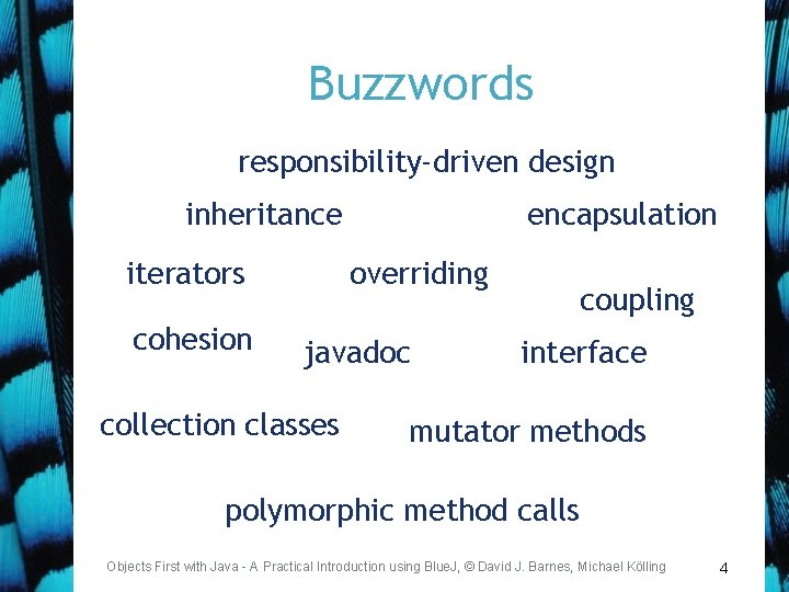Buzzwords responsibility-driven design inheritance iterators cohesion encapsulation overriding javadoc collection classes coupling interface mutator