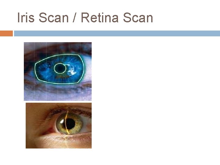 Iris Scan / Retina Scan 