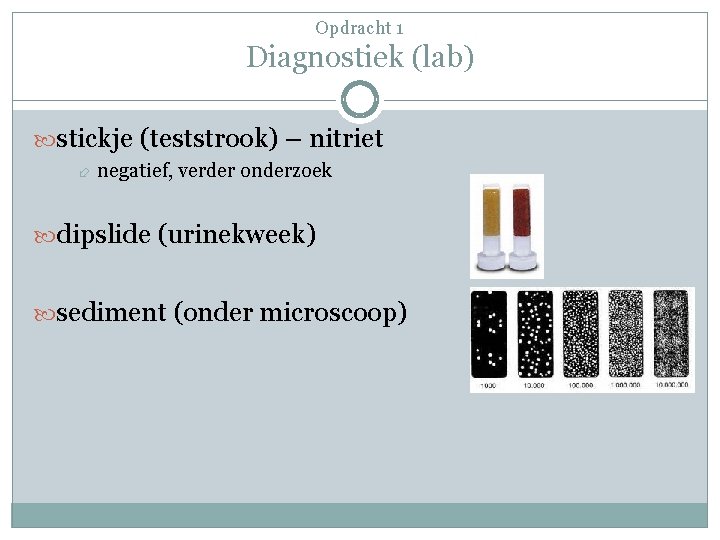 Opdracht 1 Diagnostiek (lab) stickje (teststrook) – nitriet negatief, verder onderzoek dipslide (urinekweek) sediment