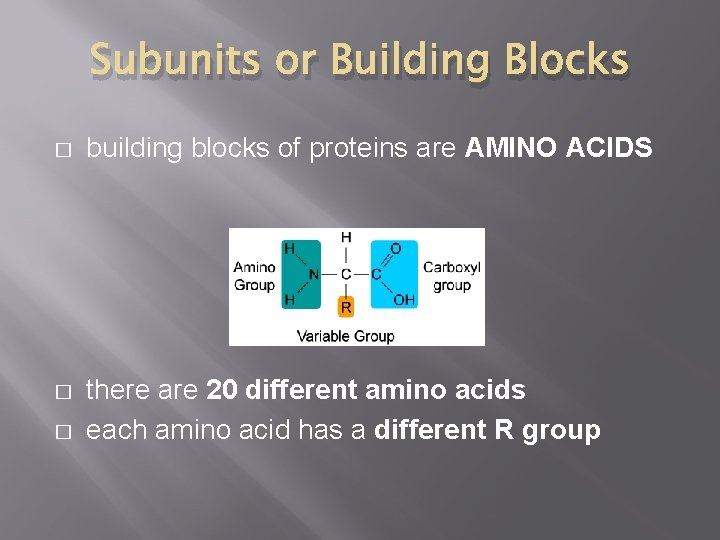Subunits or Building Blocks � building blocks of proteins are AMINO ACIDS � there