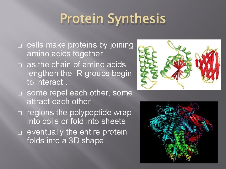 Protein Synthesis � � � cells make proteins by joining amino acids together as