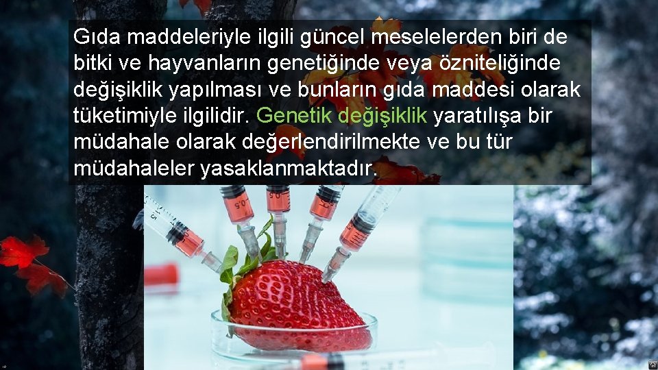 Gıda maddeleriyle ilgili güncel meselelerden biri de bitki ve hayvanların genetiğinde veya özniteliğinde değişiklik