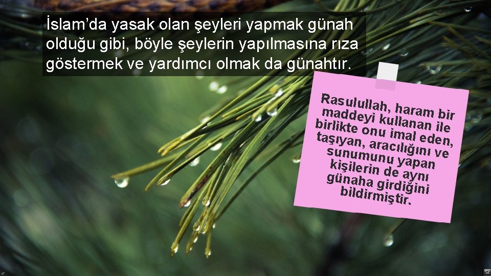 İslam’da yasak olan şeyleri yapmak günah olduğu gibi, böyle şeylerin yapılmasına rıza göstermek ve