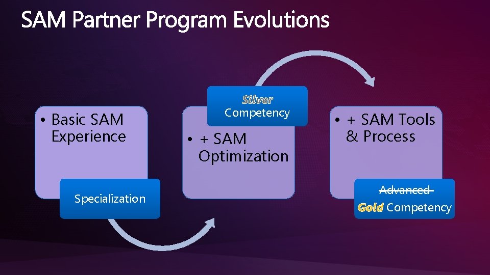 • Basic SAM Experience Specialization Silver Competency • + SAM Optimization • + • Basic SAM Experience Specialization Silver Competency • + SAM Optimization • +