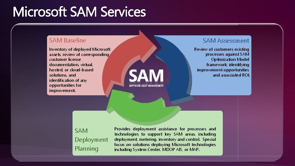 SAM Baseline Inventory of deployed Microsoft assets, review of corresponding customer license documentation, virtual, SAM Baseline Inventory of deployed Microsoft assets, review of corresponding customer license documentation, virtual,