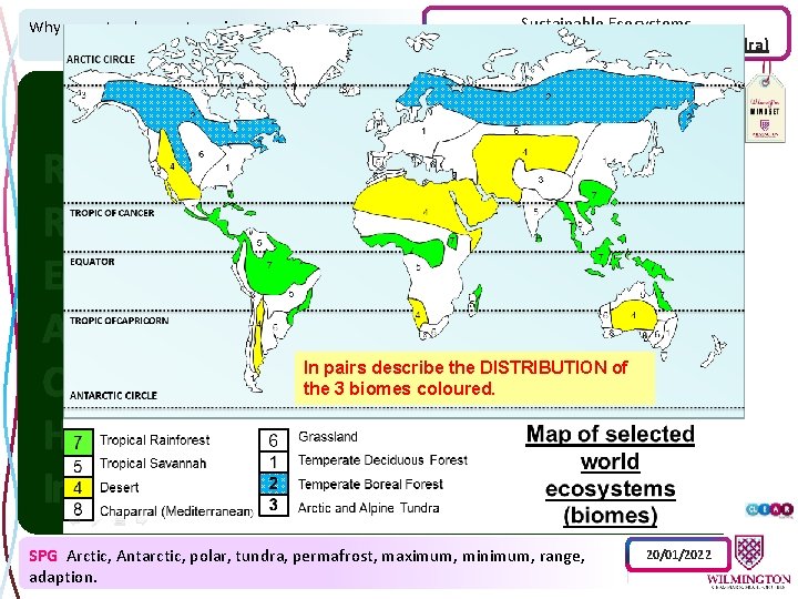 Why are natural ecosystems important? Sustainable Ecosystems Understanding cold biomes (polar & tundra) In