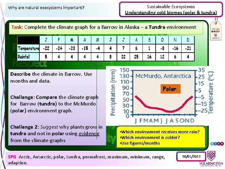 Why are natural ecosystems important? Sustainable Ecosystems Understanding cold biomes (polar & tundra) Task: