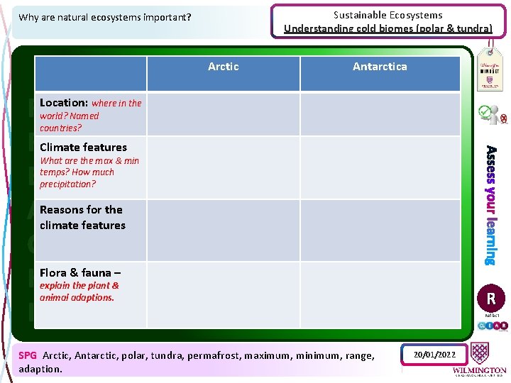 Sustainable Ecosystems Understanding cold biomes (polar & tundra) Why are natural ecosystems important? Arctic