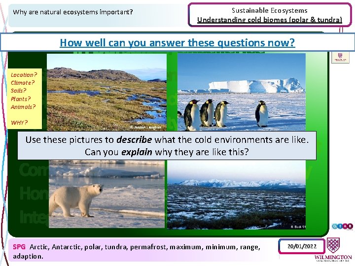 Why are natural ecosystems important? Sustainable Ecosystems Understanding cold biomes (polar & tundra) How