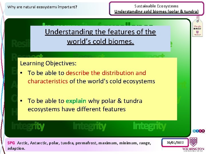 Why are natural ecosystems important? Sustainable Ecosystems Understanding cold biomes (polar & tundra) Understanding