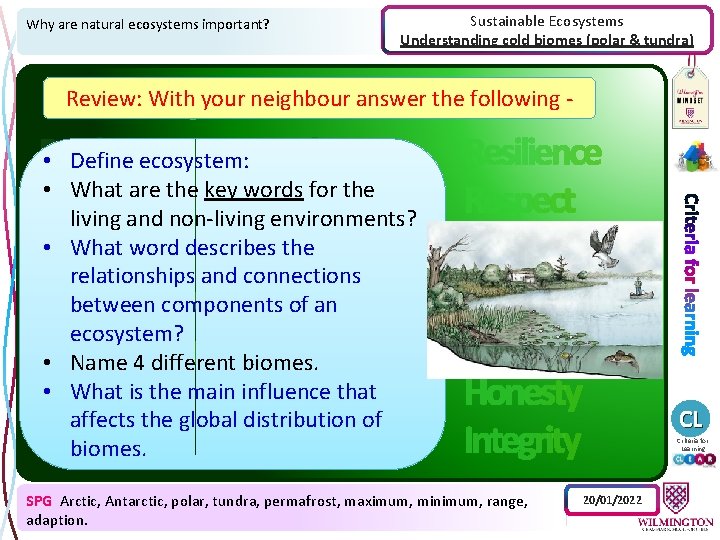 Why are natural ecosystems important? Sustainable Ecosystems Understanding cold biomes (polar & tundra) Review: