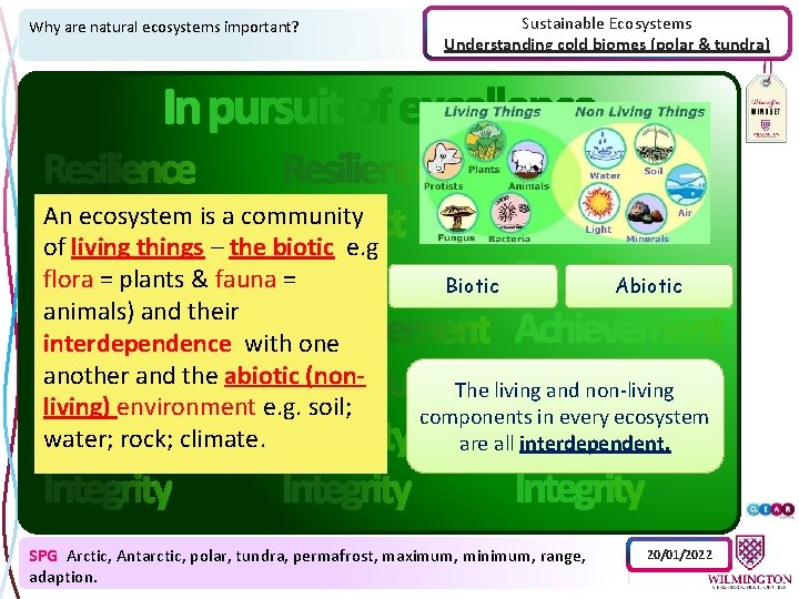 Why are natural ecosystems important? An ecosystem is a community of living things –