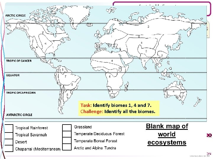 Why are natural ecosystems important? Sustainable Ecosystems Understanding cold biomes (polar & tundra) Task: