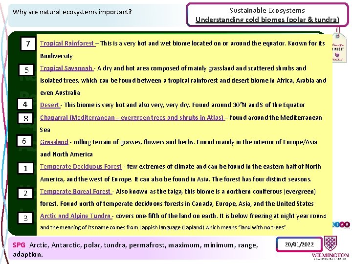 Why are natural ecosystems important? 7 Sustainable Ecosystems Understanding cold biomes (polar & tundra)