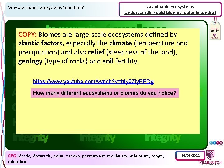 Why are natural ecosystems important? Sustainable Ecosystems Understanding cold biomes (polar & tundra) COPY: