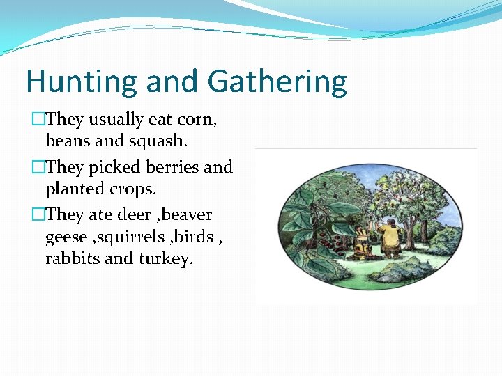 Hunting and Gathering �They usually eat corn, beans and squash. �They picked berries and