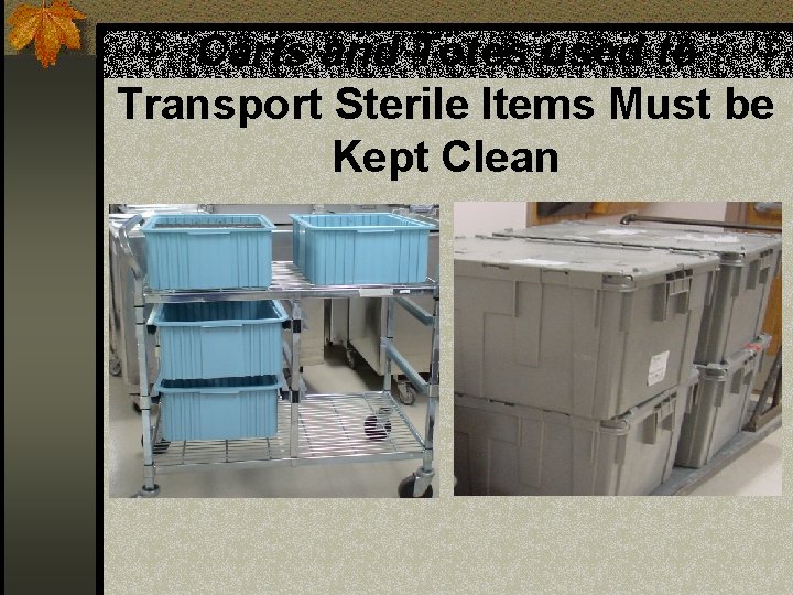 Carts and Totes used to Transport Sterile Items Must be Kept Clean 