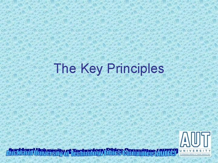 The Key Principles 