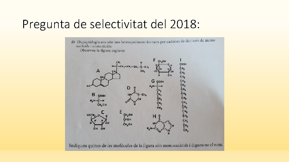 Pregunta de selectivitat del 2018: 