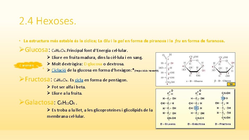 2. 4 Hexoses. • La estructura més estable és la cíclica; La Glu i