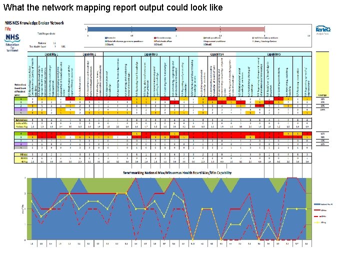 What the network mapping report output could look like 
