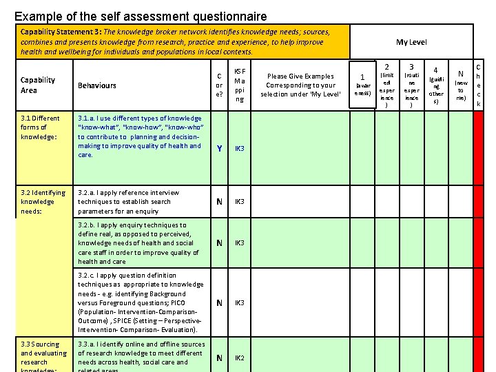 Example of the self assessment questionnaire Capability Statement 3: The knowledge broker network identifies
