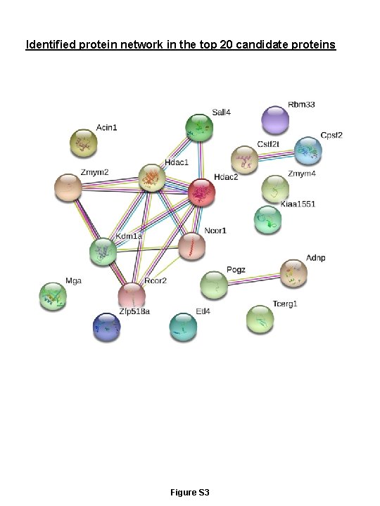 Identified protein network in the top 20 candidate proteins Figure S 3 