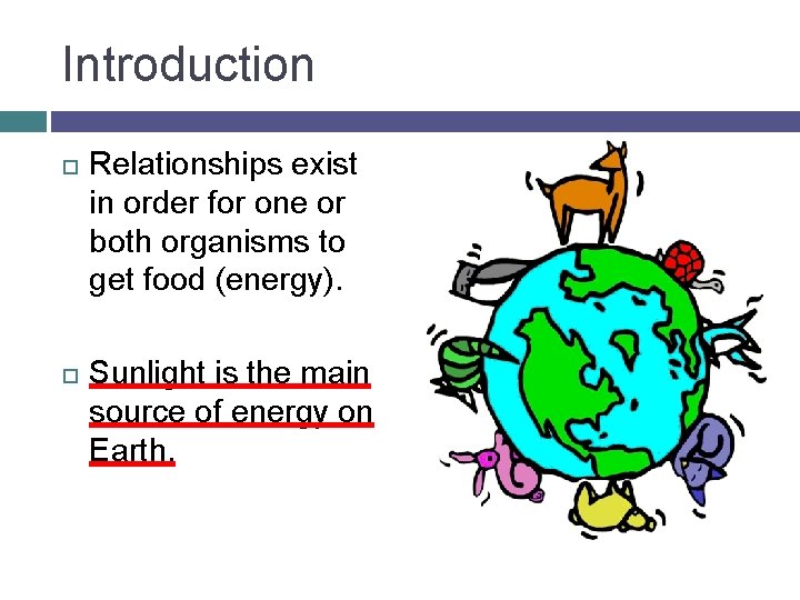 Introduction Relationships exist in order for one or both organisms to get food (energy).
