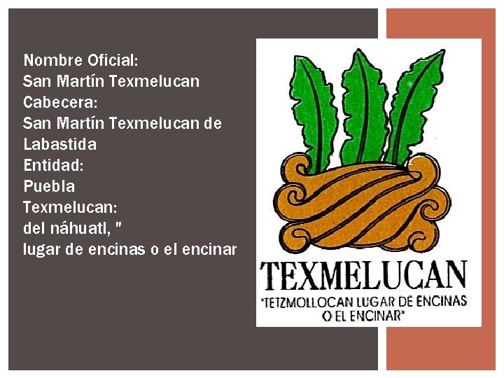 Nombre Oficial: San Martín Texmelucan Cabecera: San Martín Texmelucan de Labastida Entidad: Puebla Texmelucan: