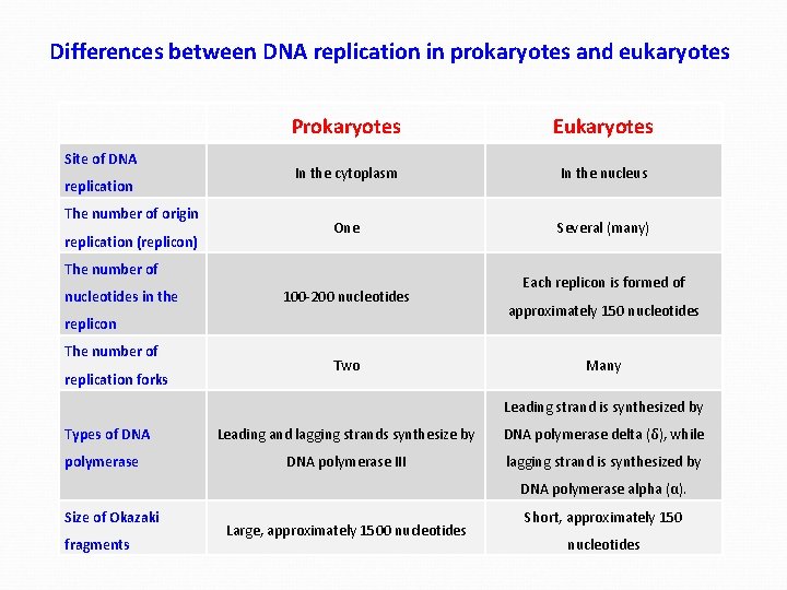 Differences between DNA replication in prokaryotes and eukaryotes Site of DNA replication The number