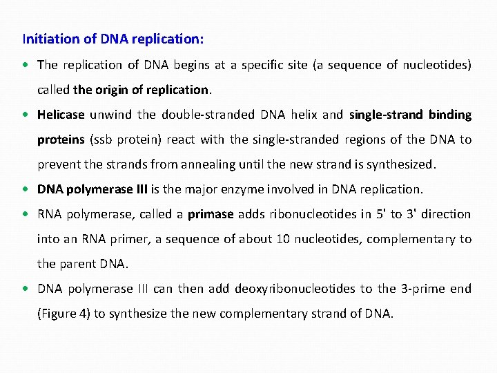 Initiation of DNA replication: The replication of DNA begins at a specific site (a