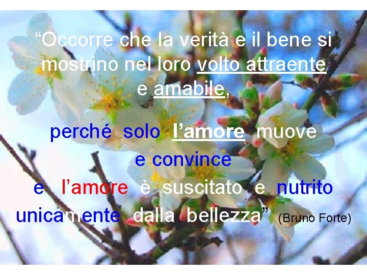 “Occorre che la verità e il bene si mostrino nel loro volto attraente e