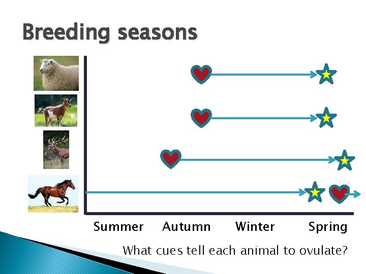 What factors affecting the time of breeding Breeding