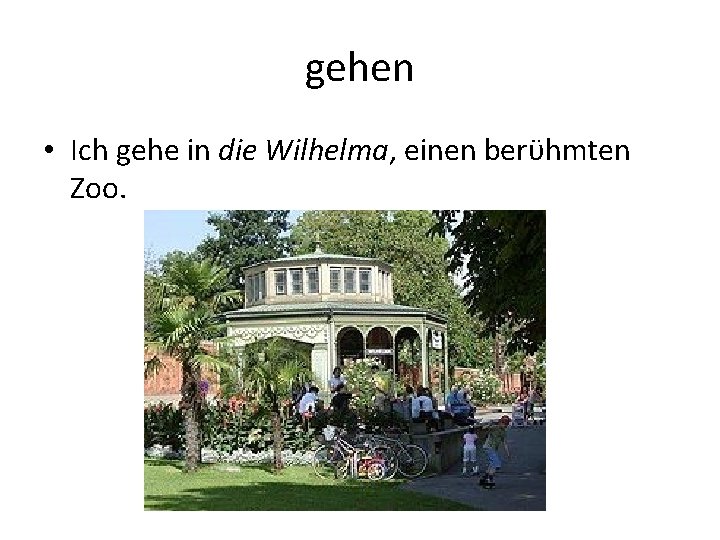 gehen • Ich gehe in die Wilhelma, einen berϋhmten Zoo. 