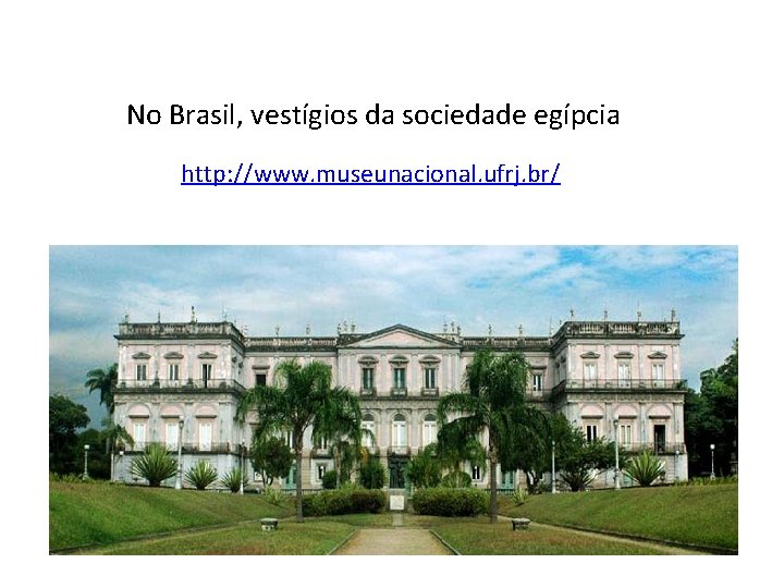 No Brasil, vestígios da sociedade egípcia http: //www. museunacional. ufrj. br/ 