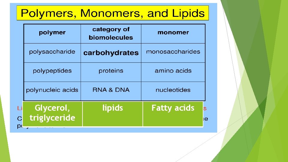 Glycerol, triglyceride lipids Fatty acids 