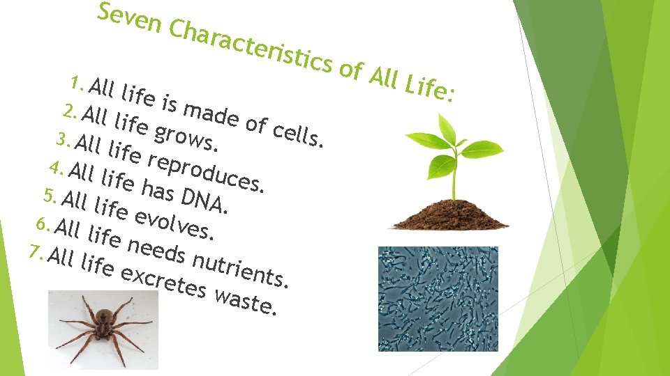 Seven 1. All 2. All Chara cteris tics o life is made life g