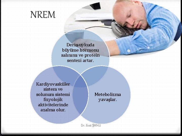 NREM Derin uykuda büyüme hormonu salınımı ve protein sentezi artar. Kardiyovasküler sistem ve solunum