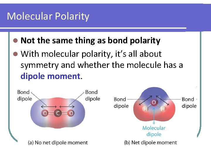 Molecular Polarity l Not the same thing as bond polarity l With molecular polarity,