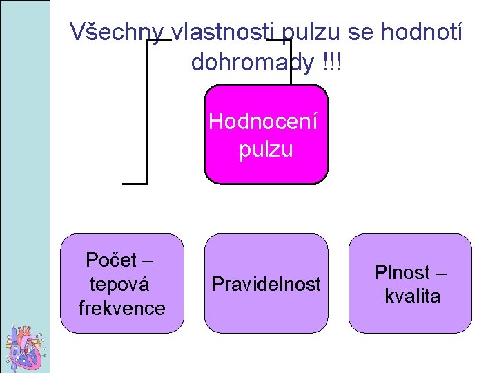 Všechny vlastnosti pulzu se hodnotí dohromady !!! Hodnocení pulzu Počet – tepová frekvence Pravidelnost