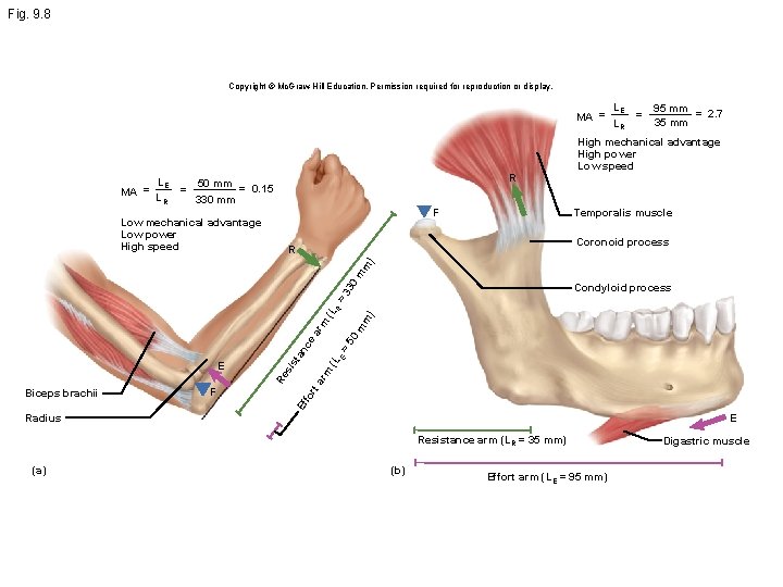 Fig. 9. 8 Copyright © Mc. Graw Hill Education. Permission required for reproduction or