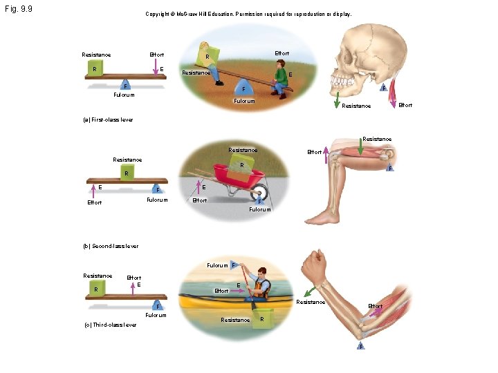 Fig. 9. 9 Copyright © Mc. Graw Hill Education. Permission required for reproduction or