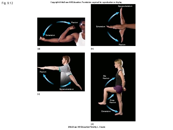 Copyright © Mc. Graw Hill Education. Permission required for reproduction or display. Fig. 9.