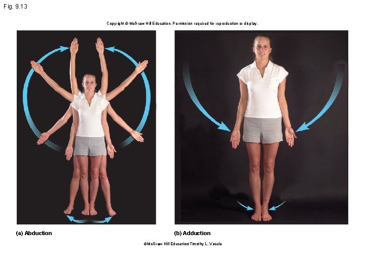 Fig. 9. 13 Copyright © Mc. Graw Hill Education. Permission required for reproduction or