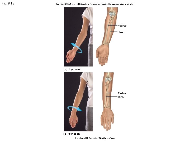 Fig. 9. 18 Copyright © Mc. Graw Hill Education. Permission required for reproduction or