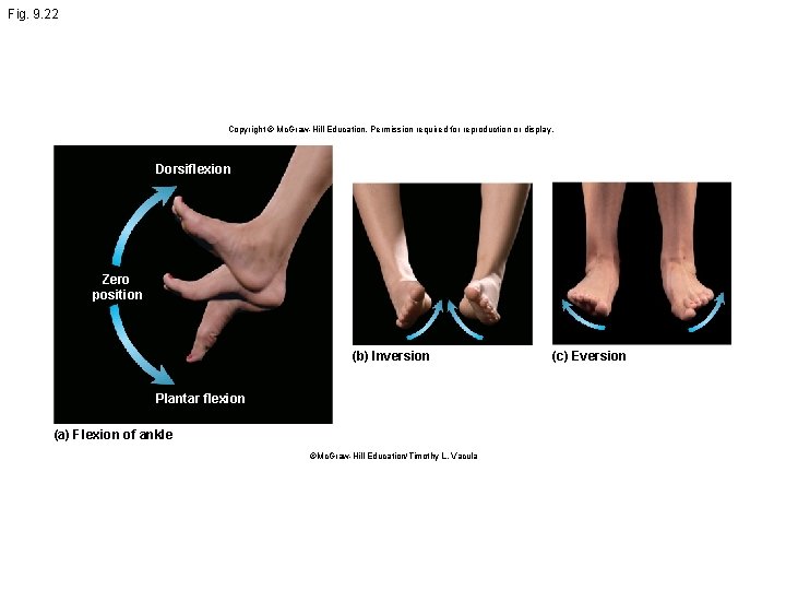 Fig. 9. 22 Copyright © Mc. Graw Hill Education. Permission required for reproduction or