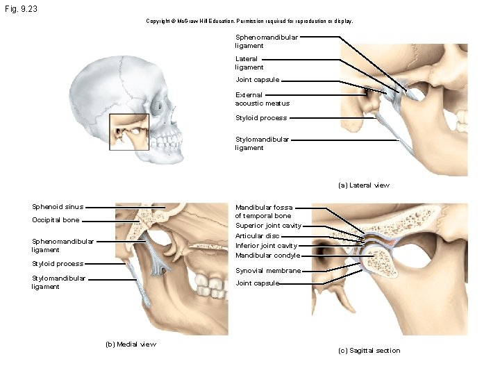 Fig. 9. 23 Copyright © Mc. Graw Hill Education. Permission required for reproduction or